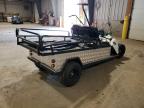 2025 GOLF CART OTHER a la Venta en Copart PA - PITTSBURGH SOUTH