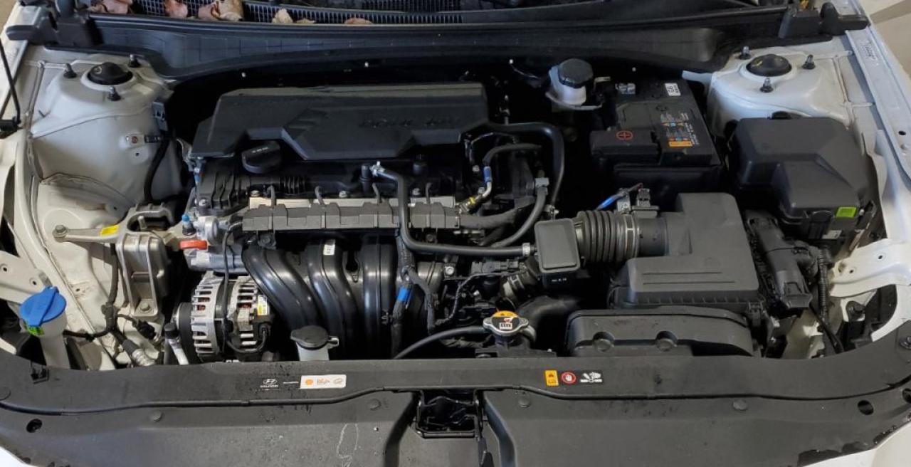 2024 Hyundai Elantra - Image 11