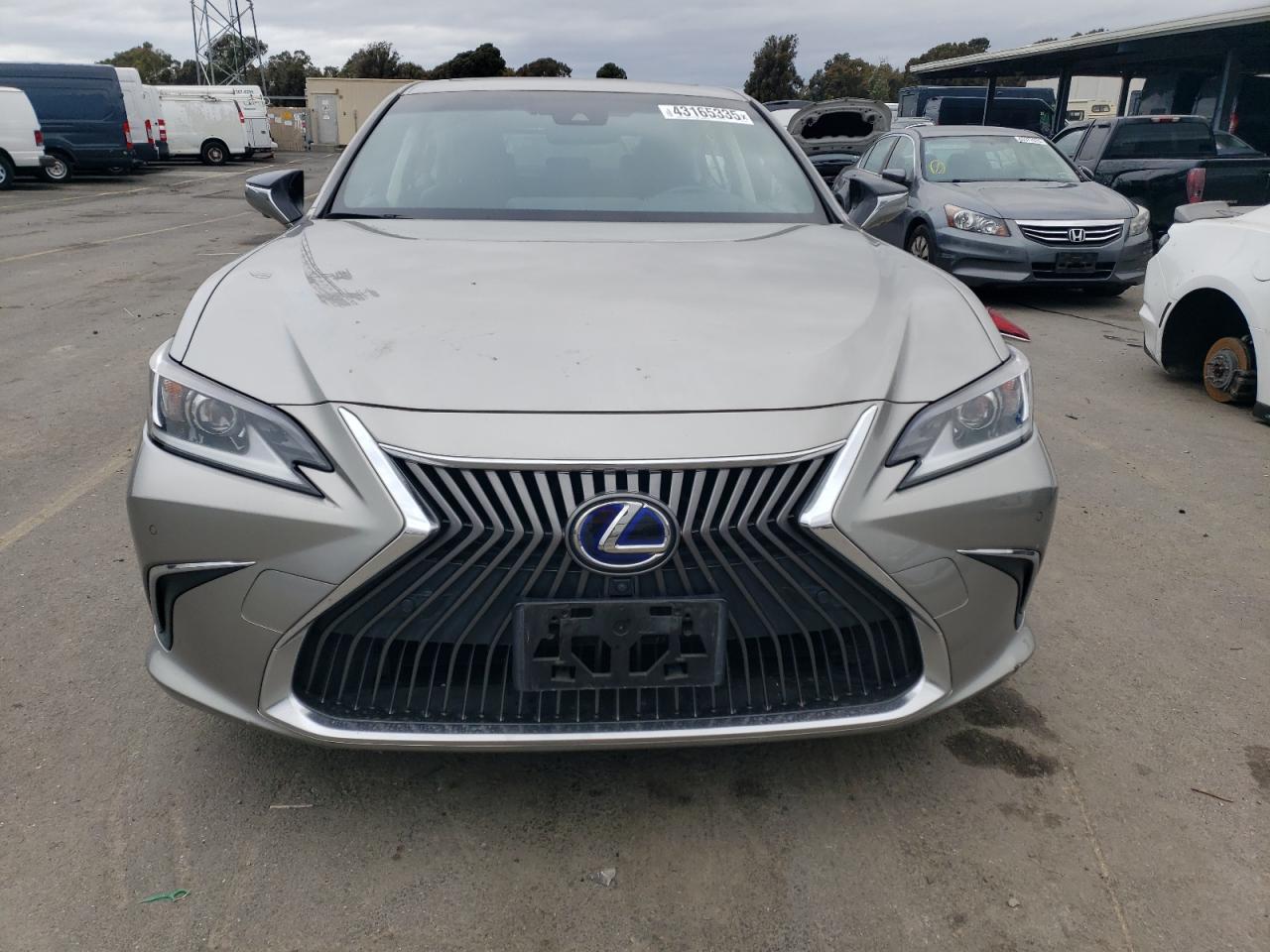 2019 Lexus ES - Image 5