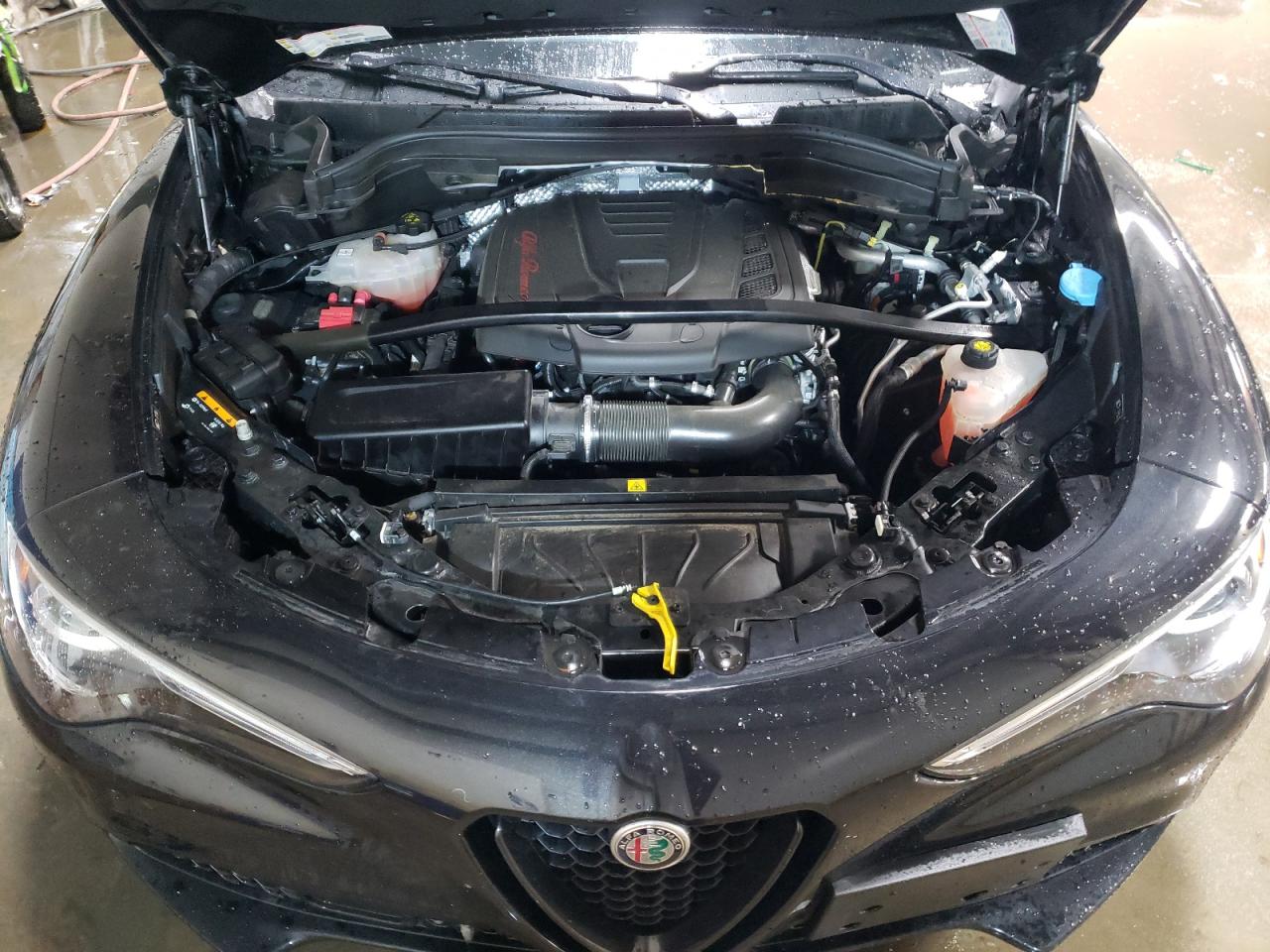 2019 Alfa Romeo Stelvio - Image 11