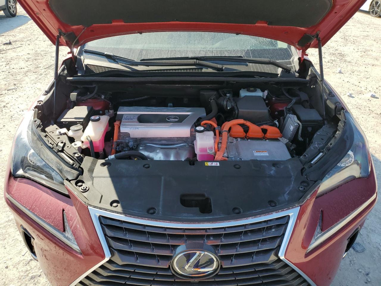 2019 Lexus NX - Image 12