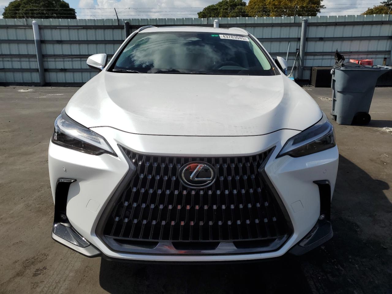 2024 Lexus NX - Image 5