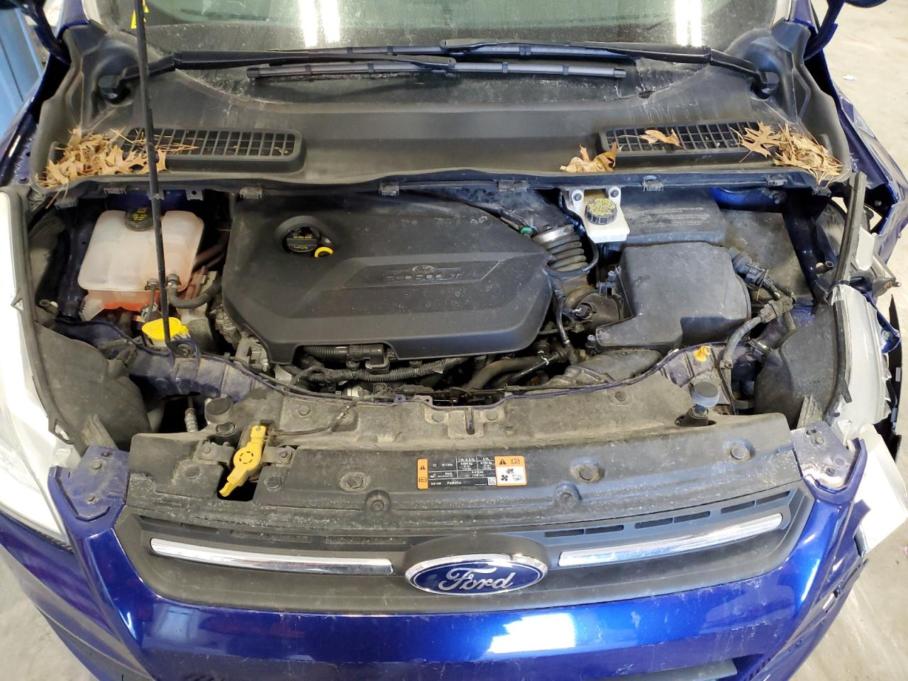 2014 Ford Escape - Image 11