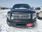 2013 Ford F150 Supercrew за продажба в Cahokia Heights, IL - Side