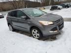 2013 Ford Escape Se за продажба в North Billerica, MA - Normal Wear