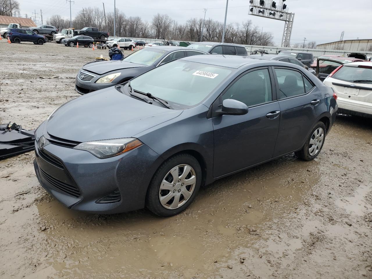 2019 Toyota Corolla - Image 1