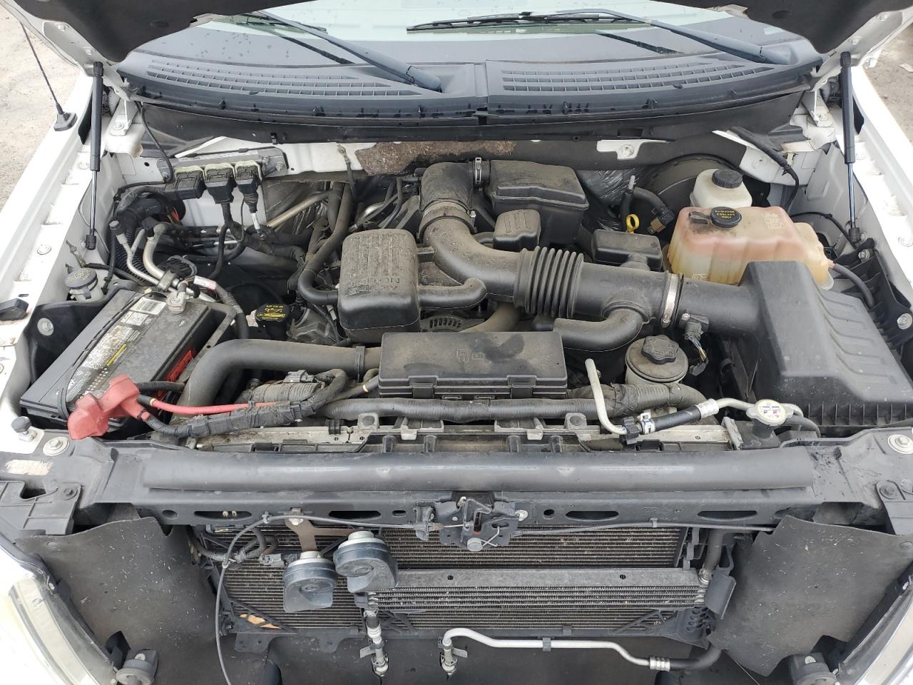 2010 Ford F-150 - Image 11