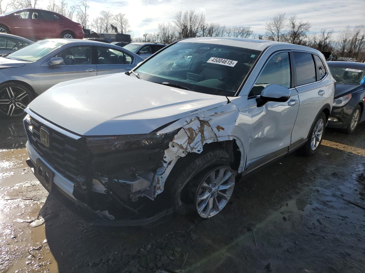 2024 Honda CR-V - Image 1