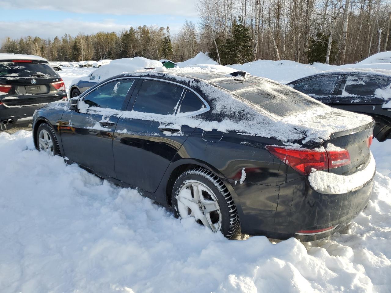 2015 Acura TLX - Image 2