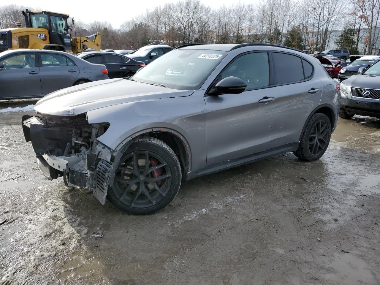 2019 Alfa Romeo Stelvio - Image 1