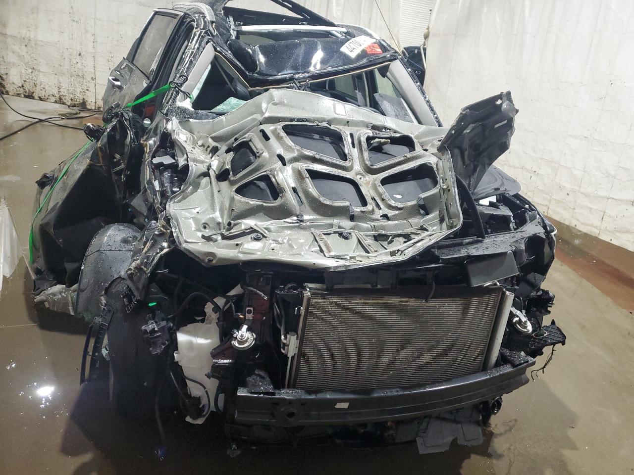 2024 Kia Telluride - Image 5