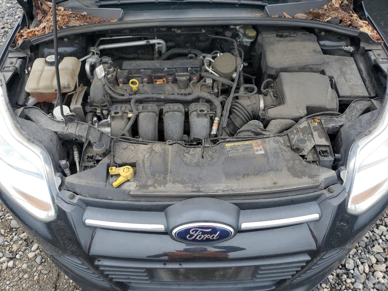 2013 Ford Focus - Image 12