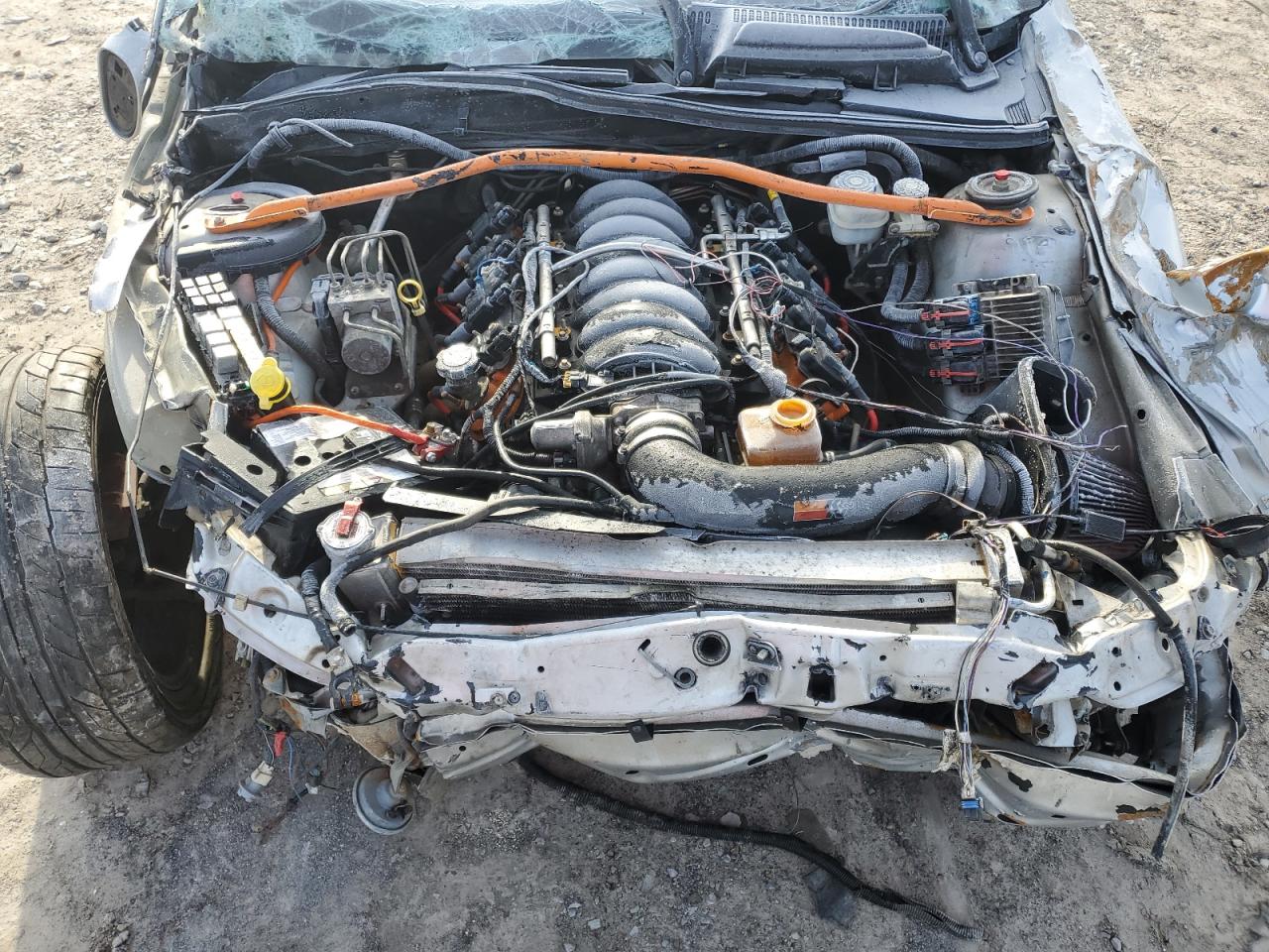PONTIAC GTO 2005 6G2VX12UX5L381201 Photo 12