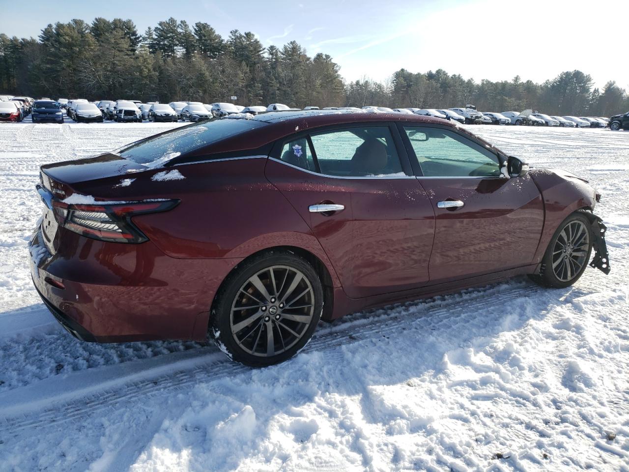 2019 Nissan Maxima - Image 3