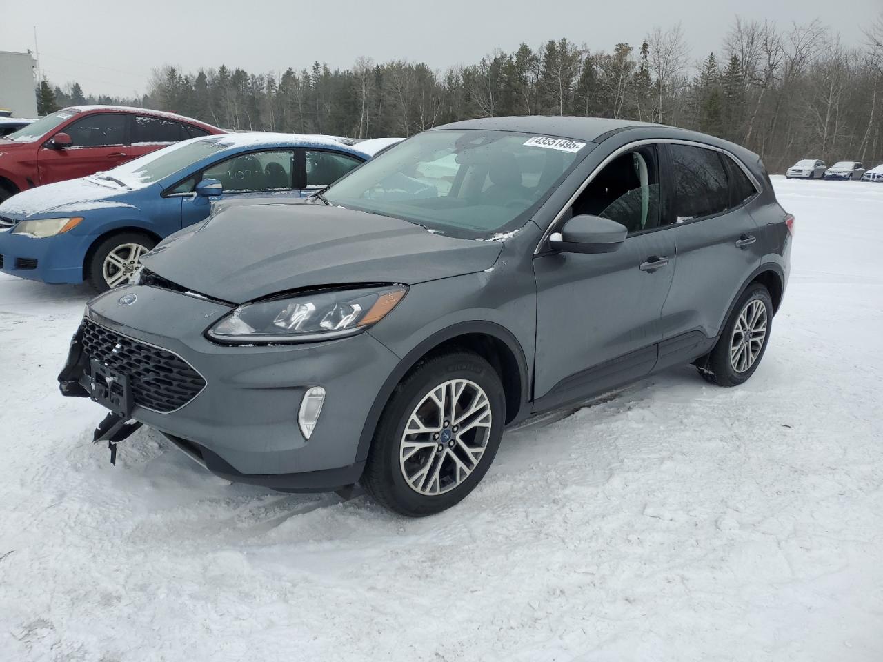 2022 Ford Escape Sel for Sale in Cookstown, ON - Front End