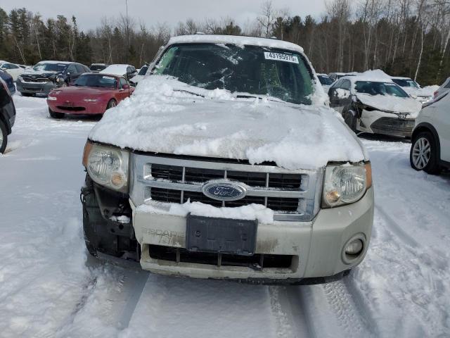 2008 FORD ESCAPE XLT