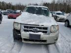 2008 FORD ESCAPE XLT for sale at Copart ON - COOKSTOWN