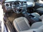2014 Ford Mustang  for Sale in Lebanon, TN - Front End
