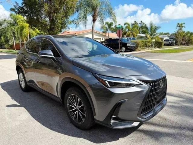 2024 Lexus Nx 250 Premium