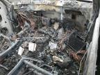 1999 Dodge Dakota  продається в Albuquerque, NM - Burn