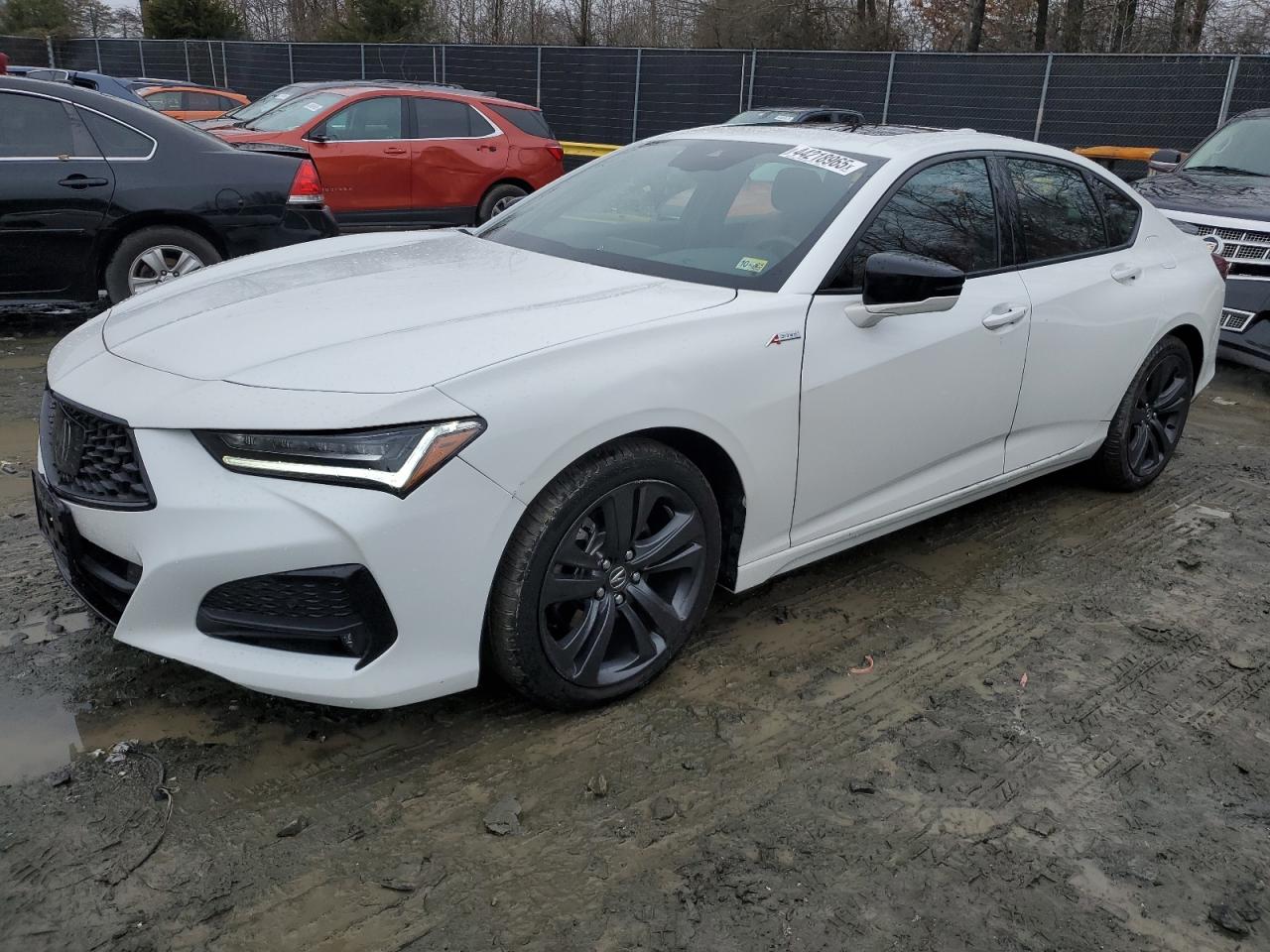 2023 ACURA TLX A-SPEC | 19UUB6F59PA005589 2023 ACURA TLX A-SPEC | 19UUB6F59PA005589