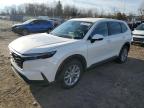 2024 Honda Cr-V Exl for Sale in Chalfont, PA - Front End