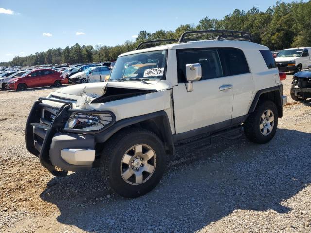 2010 Toyota Fj Cruiser 