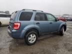 2011 Ford Escape Xlt იყიდება Lumberton-ში, NC - Normal Wear