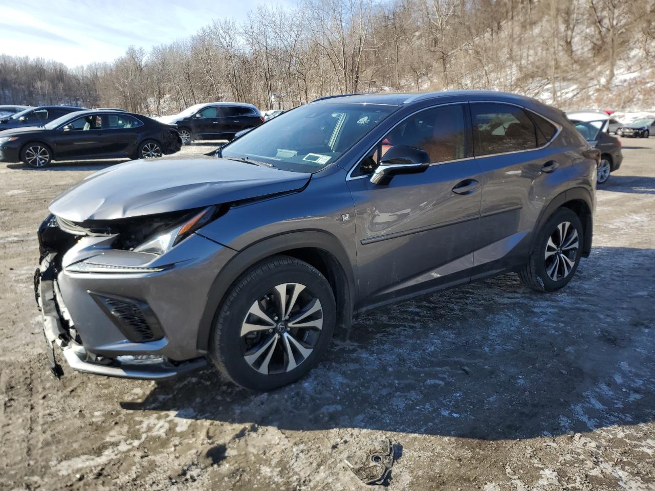 2018 Lexus NX - Image 1