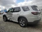 2024 Honda Pilot Exl للبيع في Opa Locka، FL - Side