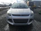 2016 Ford Escape Titanium en Venta en Eugene, OR - All Over