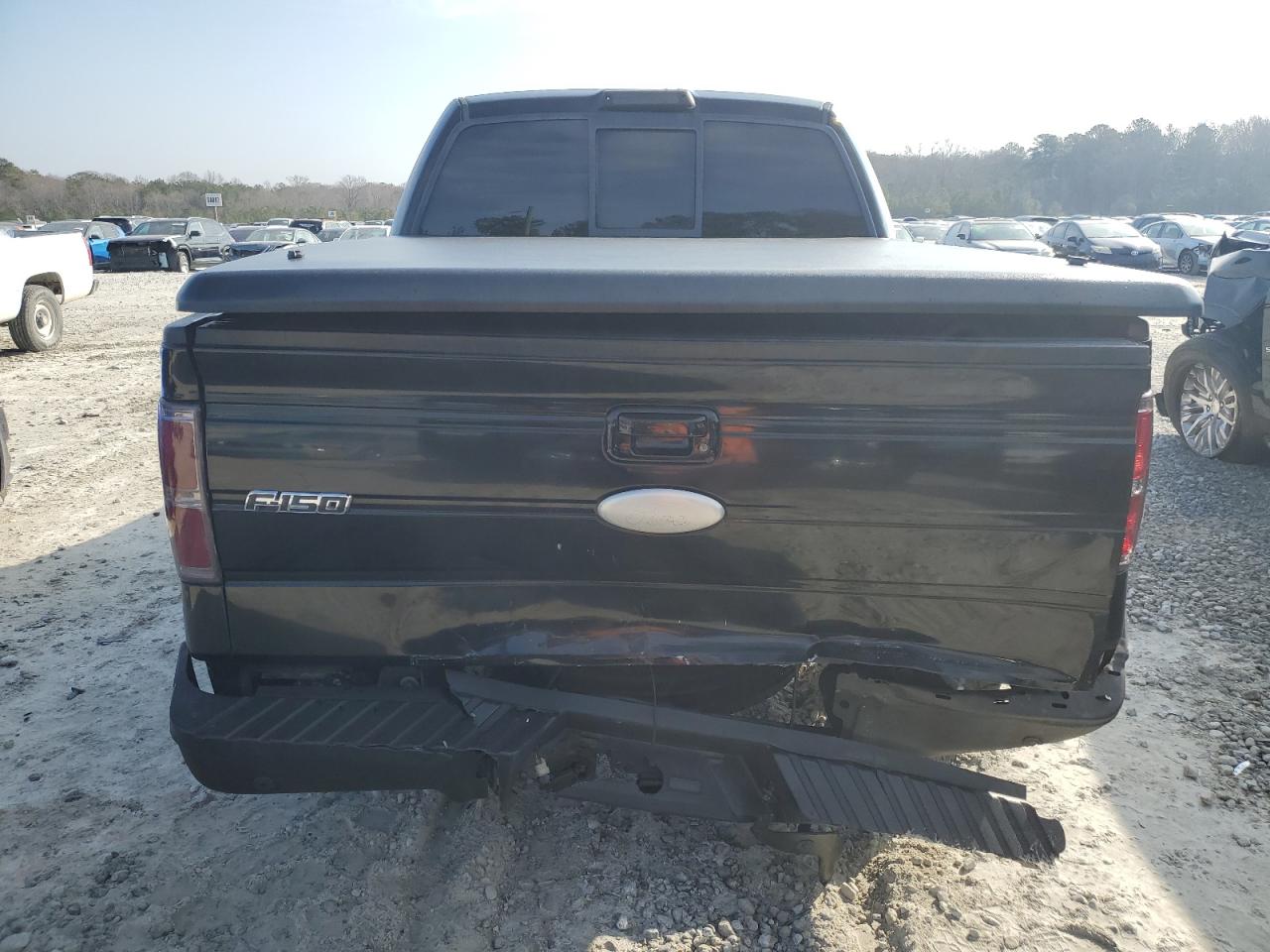 2011 Ford F150 Supercrew VIN: 1FTFW1CT9BKE06483 Lot: 44173445