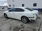 2014 Nissan Maxima S for Sale in Farr West, UT - Front End