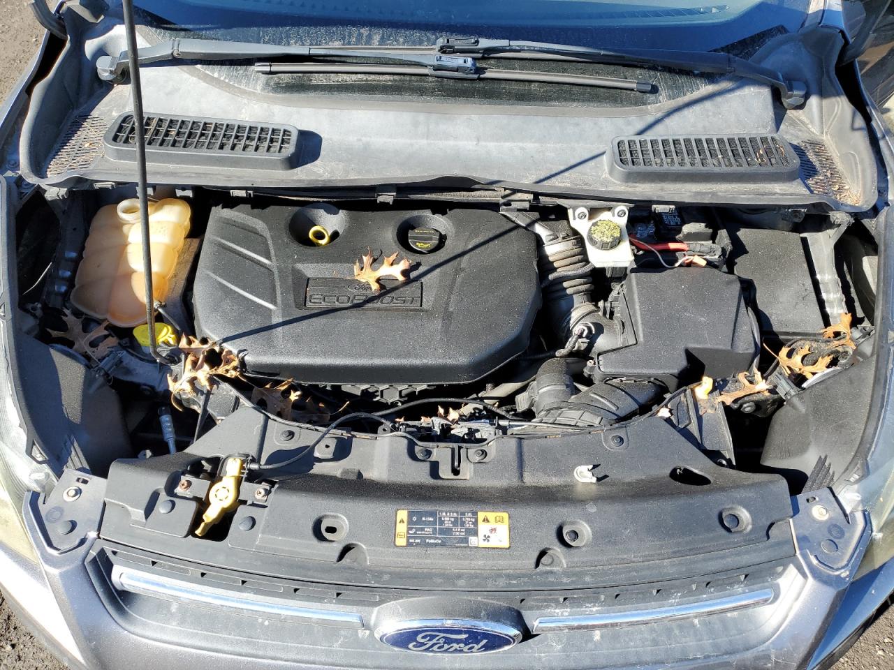 2014 Ford Escape - Image 12