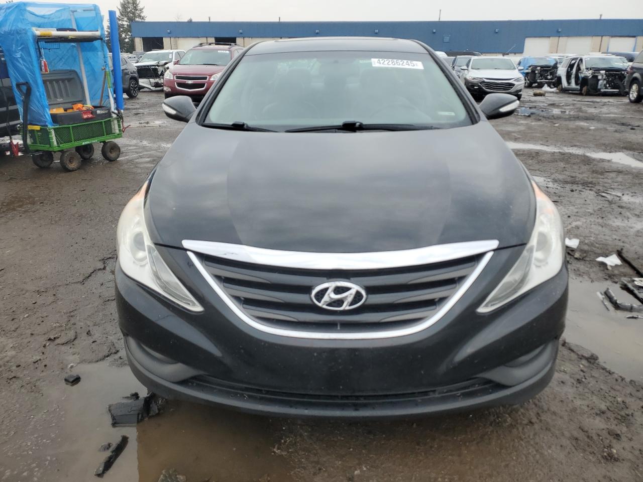 2014 Hyundai Sonata - Image 5