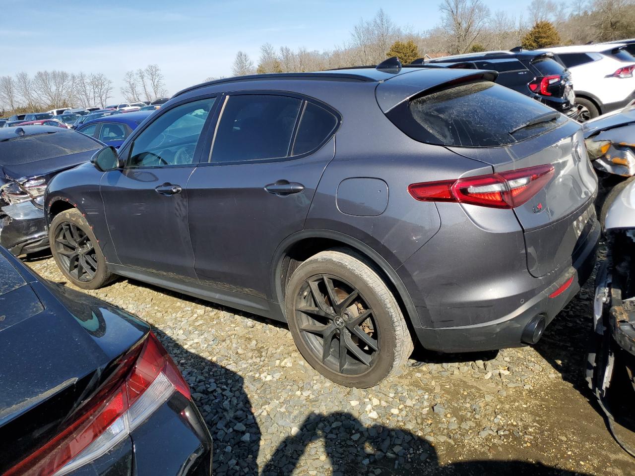 2019 Alfa Romeo Stelvio - Image 2