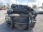 2019 CHEVROLET TAHOE POLICE à vendre chez Copart FL - TAMPA SOUTH