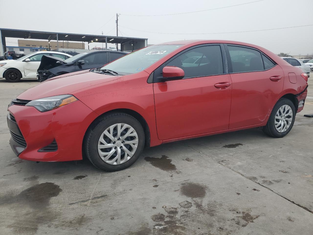 2019 Toyota Corolla - Image 1