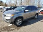 2012 Kia Sorento Base na sprzedaż w Portland, OR - Burn