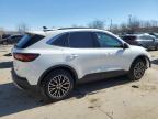 2023 Ford Escape  for Sale in Louisville, KY - Front End