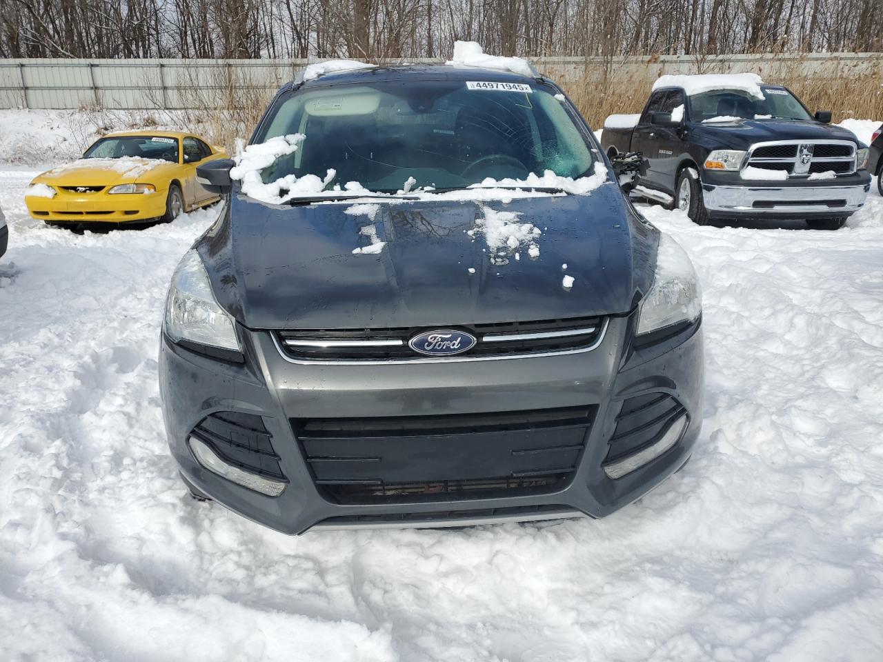 2016 Ford Escape - Image 5