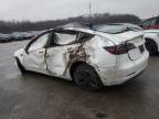 2023 Tesla Model 3    na sprzedaż w Louisville, KY - Rollover