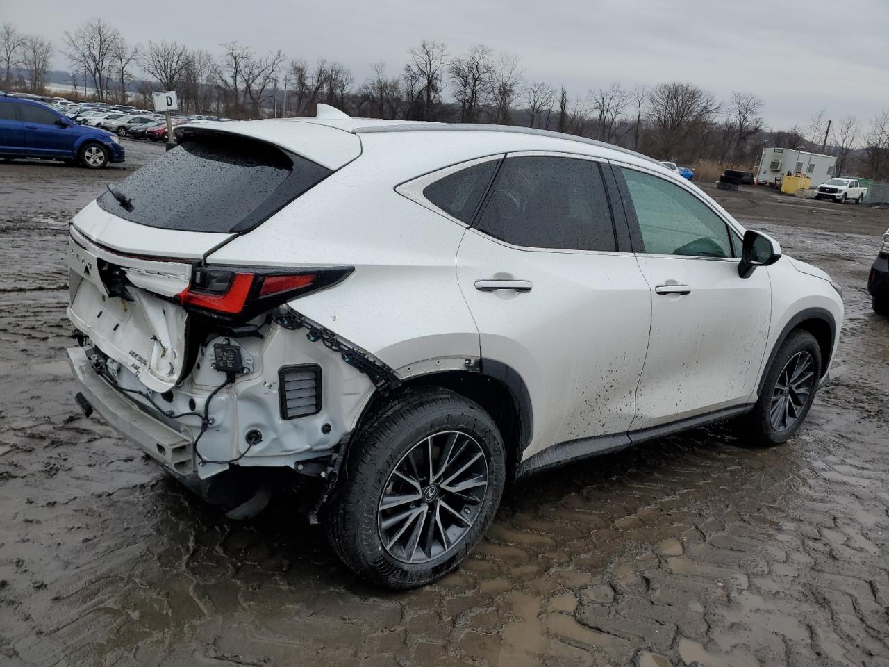 2022 Lexus NX - Image 3