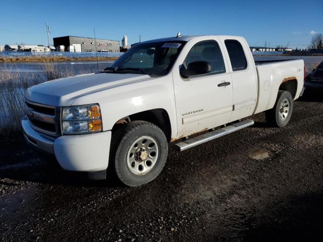 2011 CHEVROLET SILVERADO K1500 LS for sale at Copart AB - CALGARY