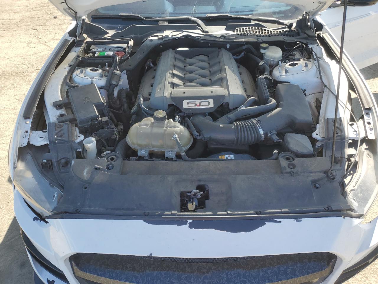 2017 Ford Mustang - Image 13