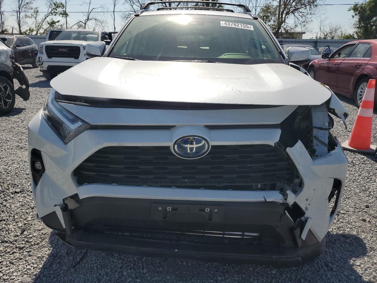 2024 Toyota RAV 4 - Image 5