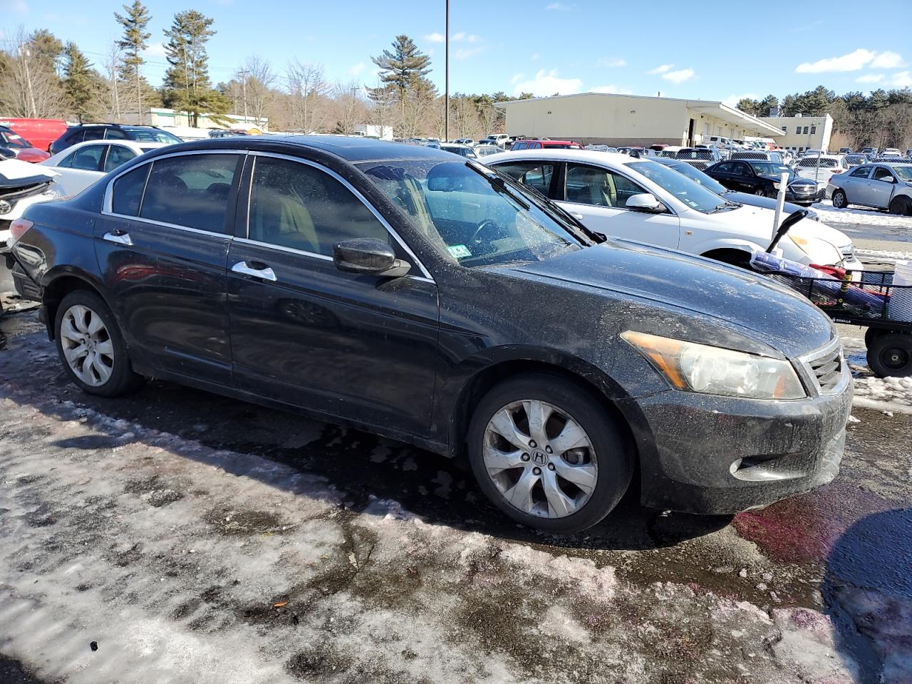2009 Honda Accord - Image 4