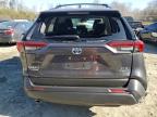 2023 Toyota Rav4 Xle للبيع في Waldorf، MD - Front End