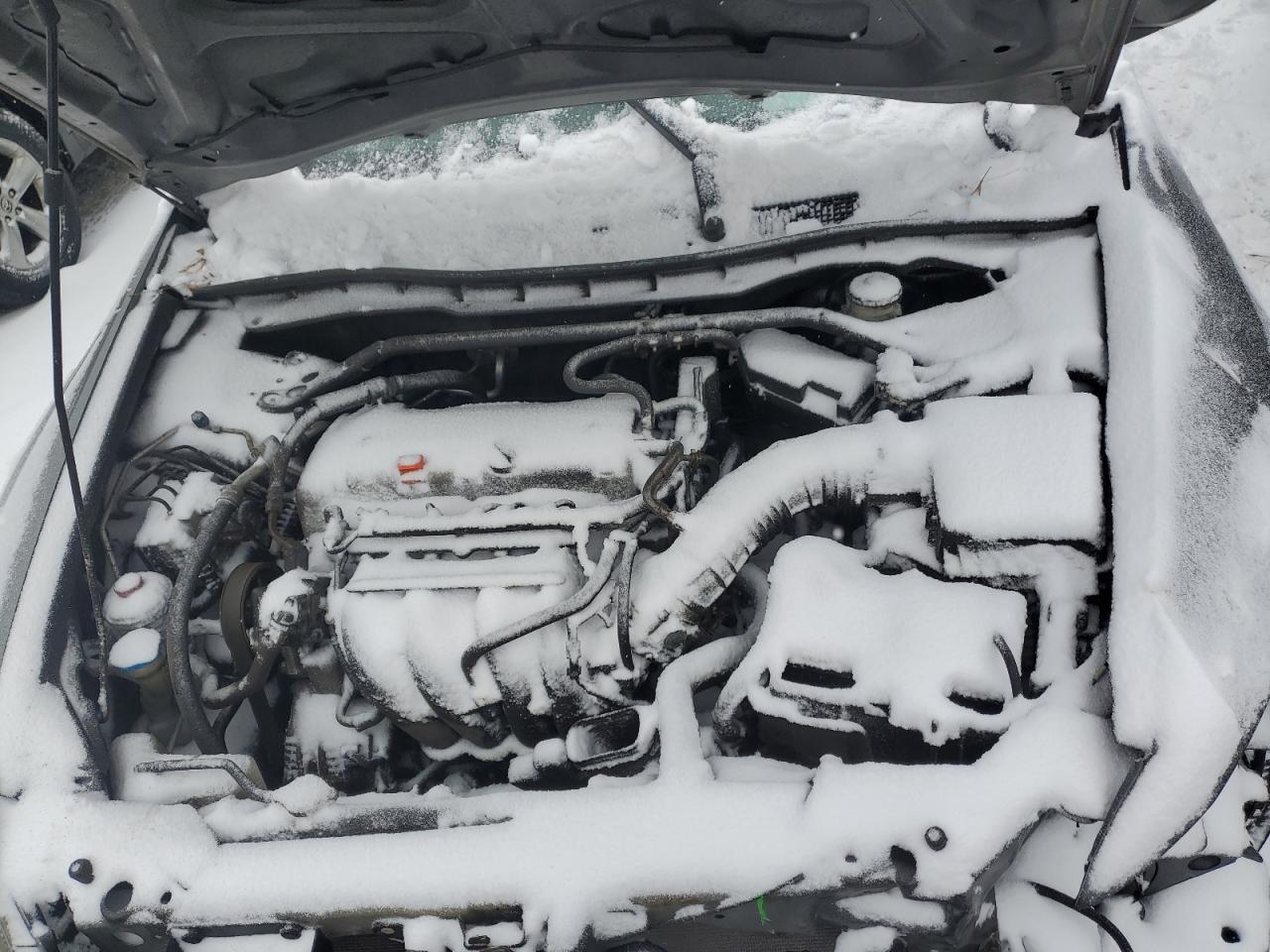 2010 Honda Accord Ex VIN: 1HGCP2F77AA172080 Lot: 44577085