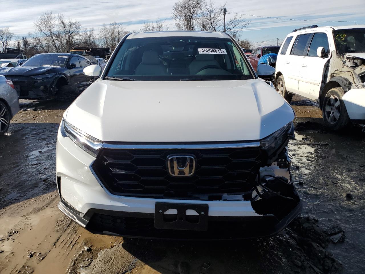 2024 Honda CR-V - Image 5